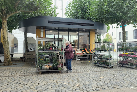 Blumen Stiller