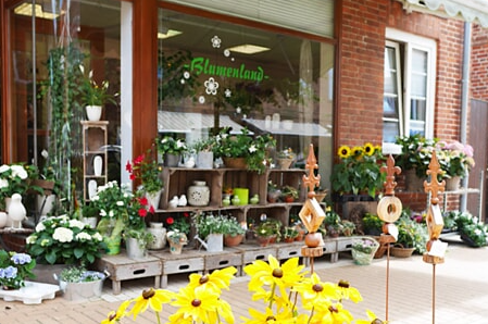 Kietzmann Silke, Blumenland LWL
