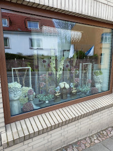 Der Tulpenknicker Bergen