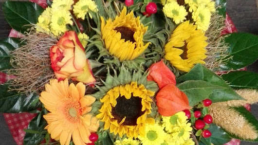 PROFiFLORA