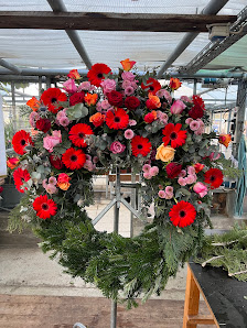 Gärtnerei Meyer, Blumen, Grabpflege, Trauerfloristik