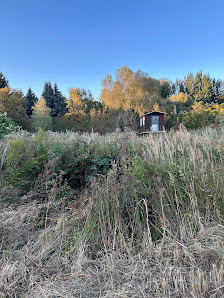 GSK Garten-& Landschaftspflege
