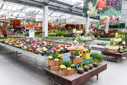 Sundflor · Blumen Handels- & Beteiligungsgesellschaft mbH