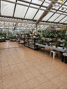Sundflor · Blumen Handels- & Beteiligungsgesellschaft mbH