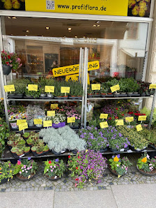 PROFiFLORA