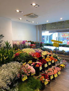 PROFiFLORA