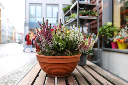 Sundflor Altstadtlädchen