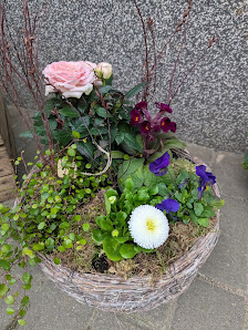 Blumengeschäft Blütenzauber, Anja Buchholz, Blumeneinzelhandel