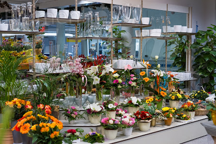Blumenhof Griem
