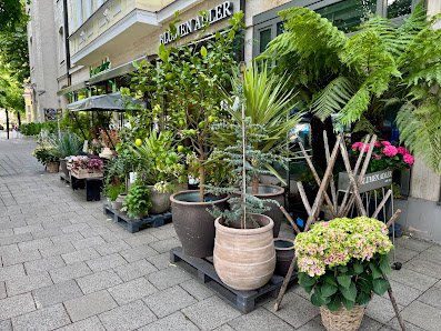 Blumen Adler seit 1930
