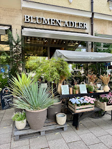 Blumen Adler seit 1930