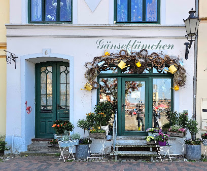 Gänseblümchen