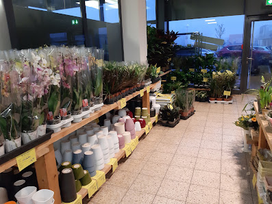 PROFiFLORA