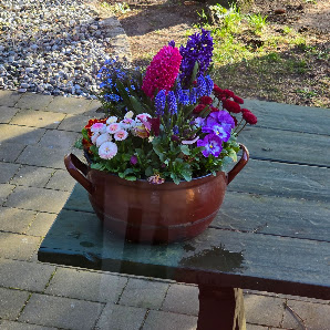 Blumenhaus Vorpahl