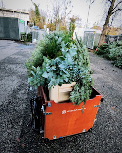 bisweilen fulminant