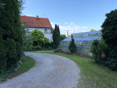 Gartenbau Moser – Gemüse & Floristik