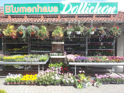 Blumenhaus Dollichon
