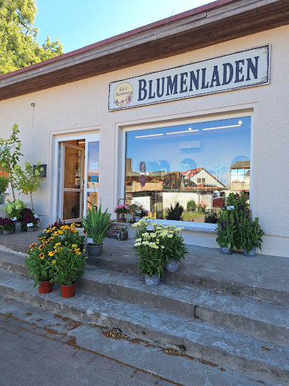 Schwaan