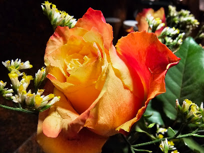 Blumenhof Lewerenz