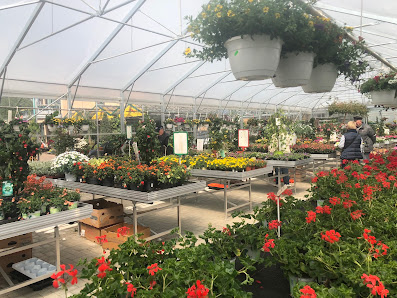 Teterower Gartenmarkt GbR - Dünninghaus