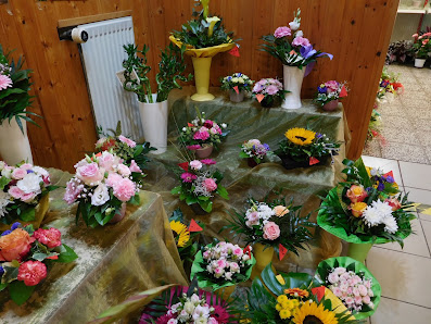 Blumenhaus Am Steintor Inh. C. Hofmann