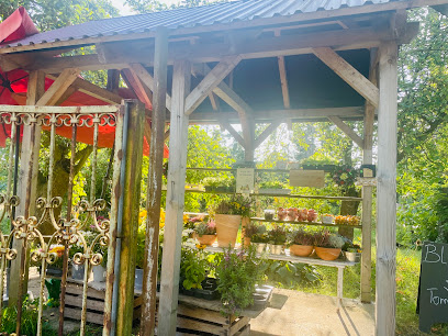 Blumendesigner