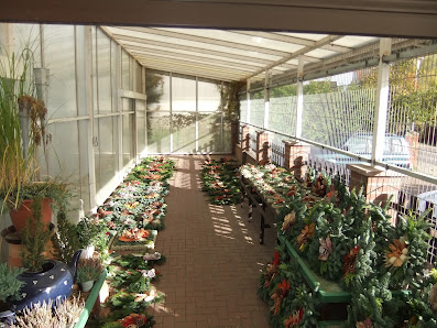 Blumenhaus Altentreptow