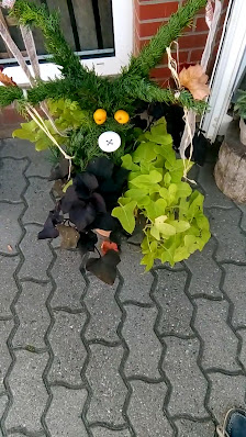 Blumen-Hoffmann-Pavillon Inh. R. Stiem-Jager