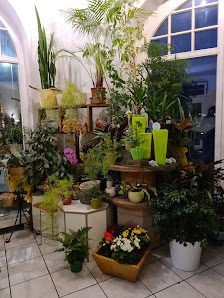 Blumen Hoffmann