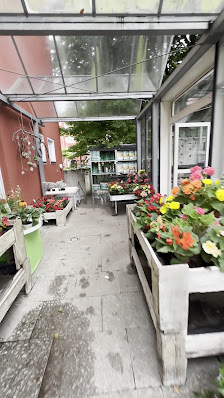 Blumen Elsdörfer