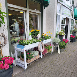 Der Tulpenknicker Binz