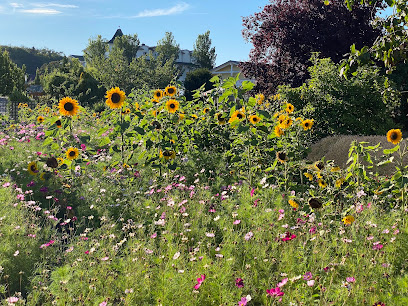 Blumengeschäft