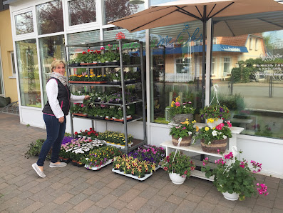Blumen & Me(e)hr
