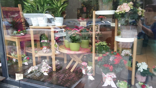 Vlada's Blumen