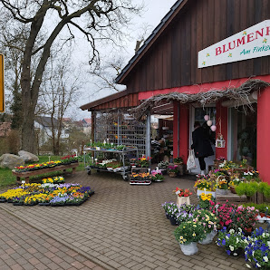Blumenhäuschen Am Finkenkamp Inh. Johanna Grigo