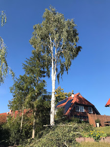 Garten- und Baumpflege Villanova