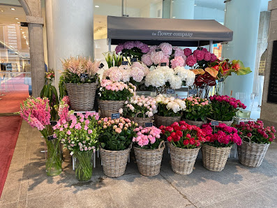 The Flower Company GmbH