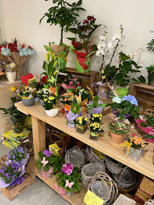 PROFiFLORA