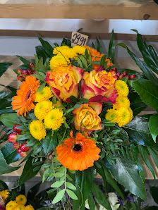 PROFiFLORA