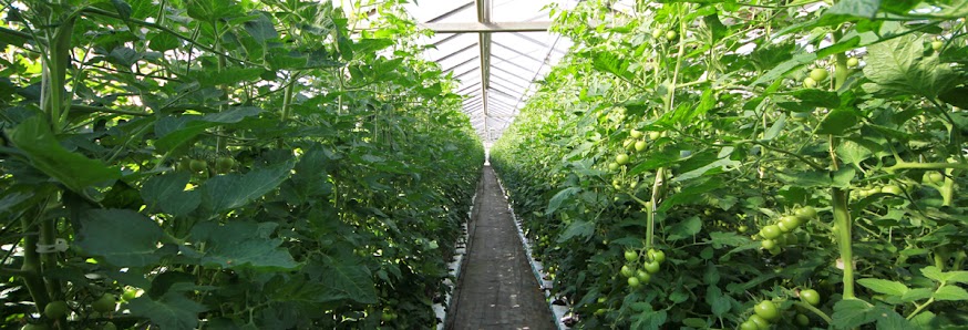 Gärtnerei Triwalk