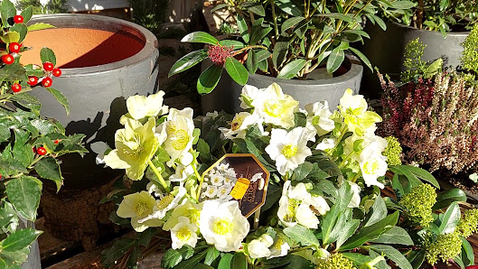 Gartencenter Reim
