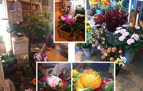 Flora Markt