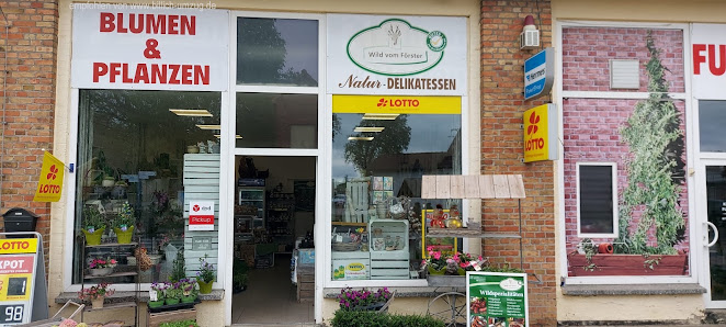 Blumen & Design