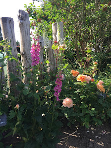 Gartengestaltung und -pflege Subklew