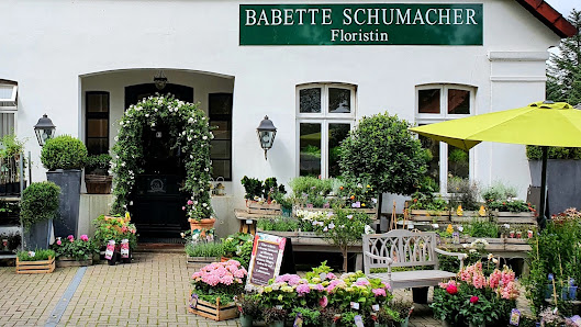 Babette Schumacher: Blumen, Garten & Wohnen