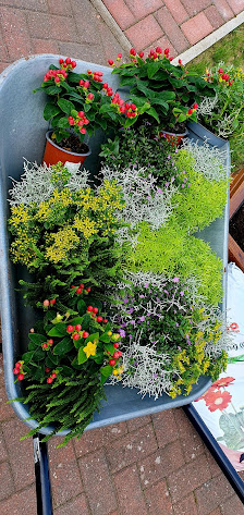 Wiesmoor Blumencenter