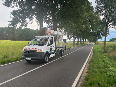 BV Baumpflege Vorpommern