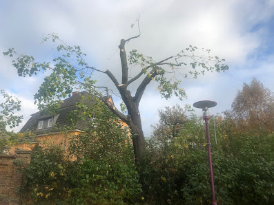 Baum und Landschaftspflege Schleusner