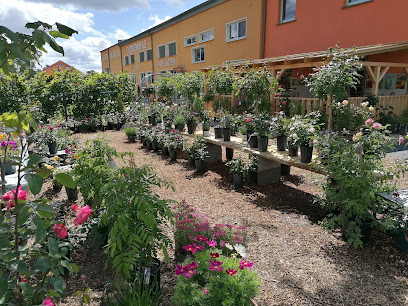 Geschäft in Trinwillershagen