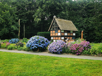 SOMMER GARTENPFLEGE